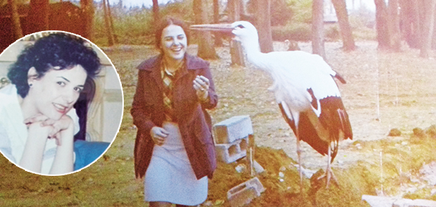 Στα θεμέλια του σκηνικού για τους «Κυνηγούς» του Θεόδωρου Αγγελόπουλου. Ένθετη: Βackstage στα γυρίσματα της «Λάμψης»