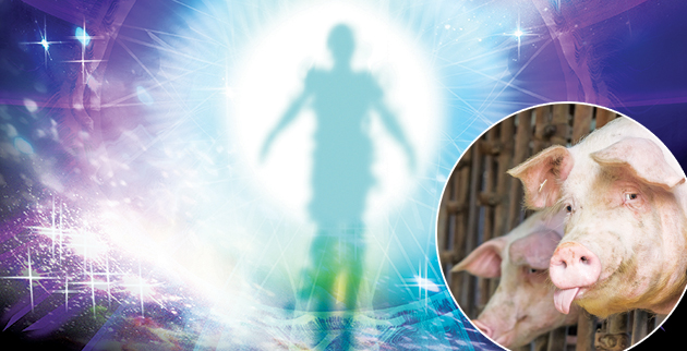 shutterstock_634593734