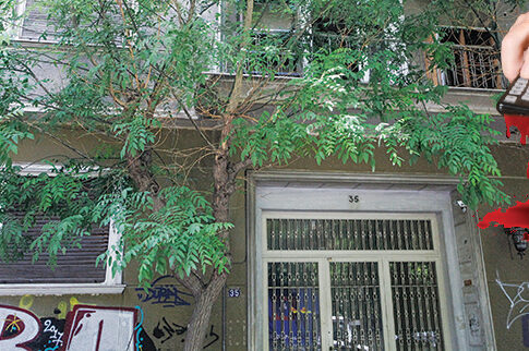 Αδιανόητο έγκλημα στον Άγιο Παντελεήμονα