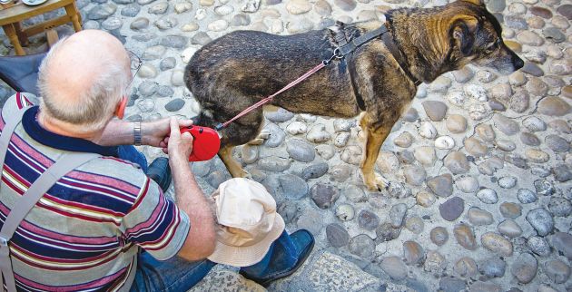 shutterstock_622915346