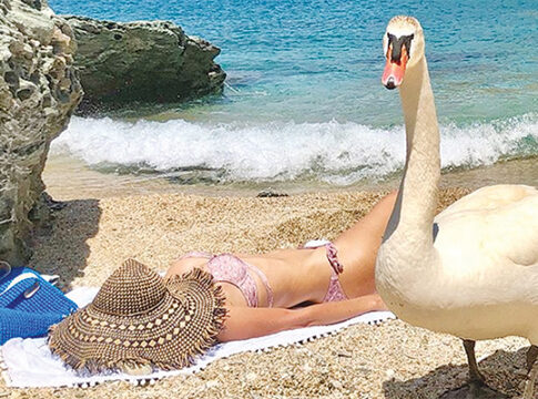 Η Μενεγάκη για μπάνιο παρέα με μια... χήνα