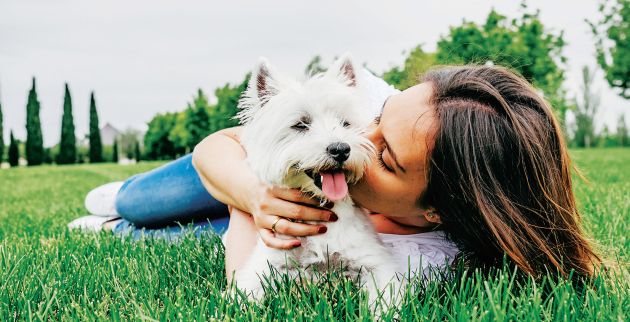 shutterstock_649624228