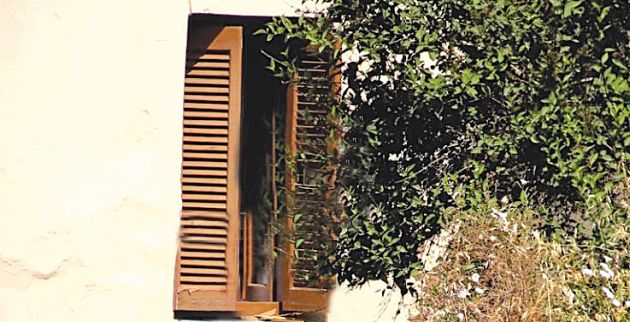 triakala2-768x432