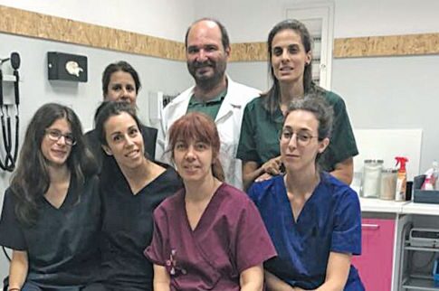 Κτηνίατροι περιέθαλψαν πάνω από 70 τραυματισμένα και καμένα ζωάκια
