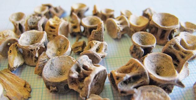 ellines_arhaio_mparmpoynia