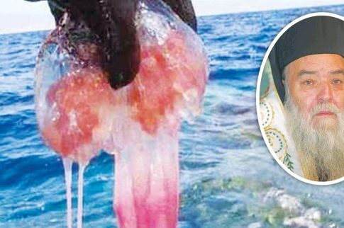 «Θαύμα» στον Κορινθιακό! Eξαφανίστηκαν οι τσούχτρες
