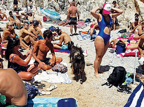 Αλανιάρα κατσίκα πήγε για μεζεδάκια στην παραλία