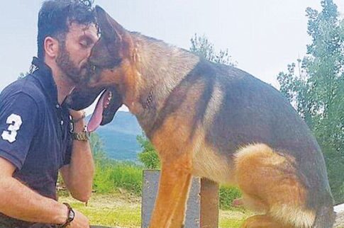 Ιταλία: Φόλα σε σκύλο που εντόπιζε επιζώντες από σεισμό