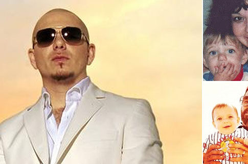 pitbull
