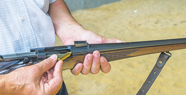 shutterstock_460078492