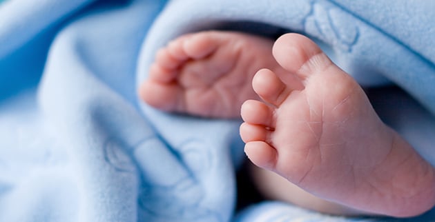 shutterstock_19624225