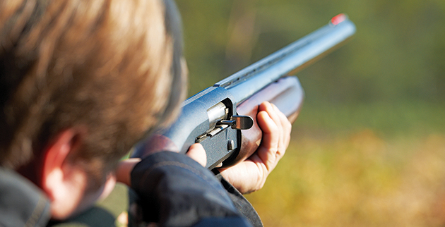 shutterstock_89870119