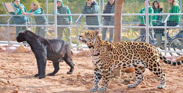 f2-_10995407_10152872021179751_7235816360033188045_n