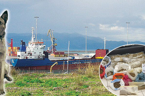 Λαχτάρισαν με την Μίσα που ξετρυπώνει ναρκωτικά