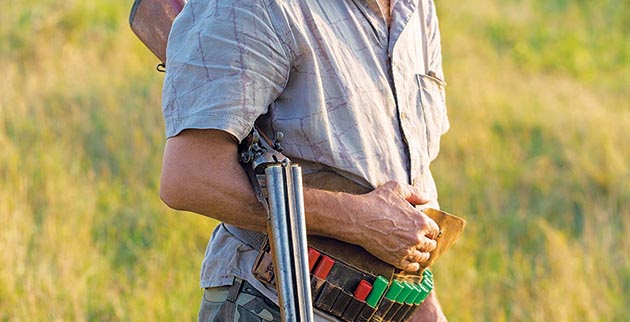 shutterstock_1162669762