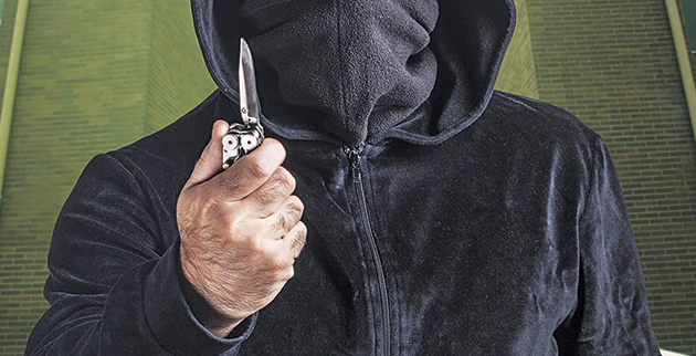 shutterstock_315177275