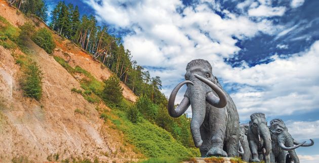 shutterstock_768889822