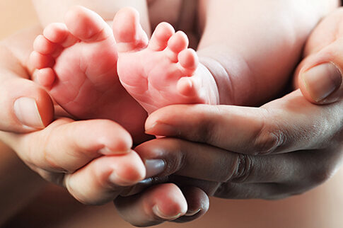 shutterstock_67639567