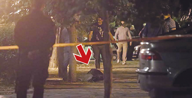 14_f1_dad32922c640e477e9593cea47fca38b