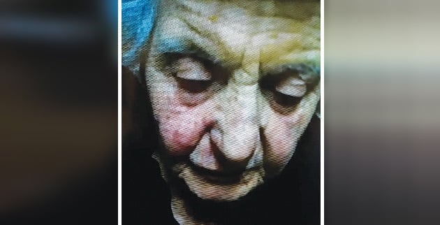 52001769_2267034773349247_5066476729556533248_n