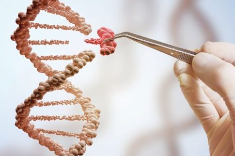 Λύση για τις βλάβες του DNA