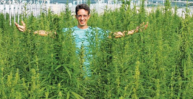 Ο Βασίλης Αρσενίου στο θερμοκήπιό του με τη βιομηχανική κάνναβη