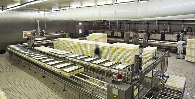 opap_forward_1_-_copy