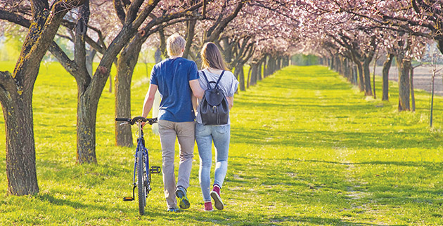 shutterstock_617358629