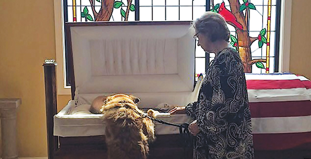 12586542-6948215-the_moment_was_captured_in_a_photo_by_the_12_year_old_granddaugh-a-2_1555969636730