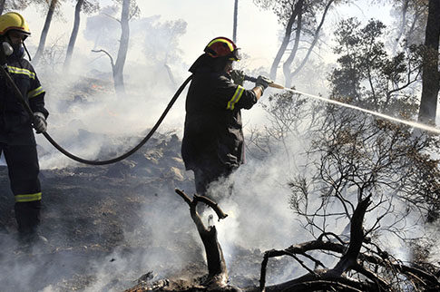 Μαθήματα σε Ελληνες πυροσβέστες από Αμερικανούς ειδικούς με δωρεές ομογενών