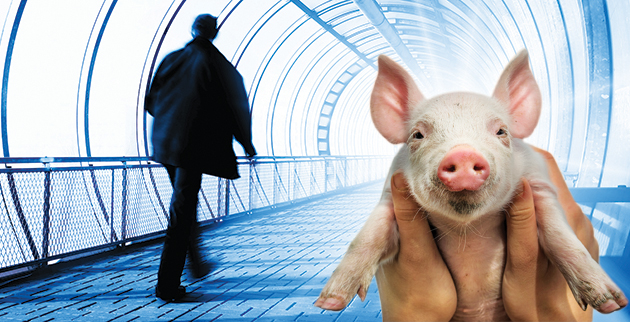 shutterstock_23104675