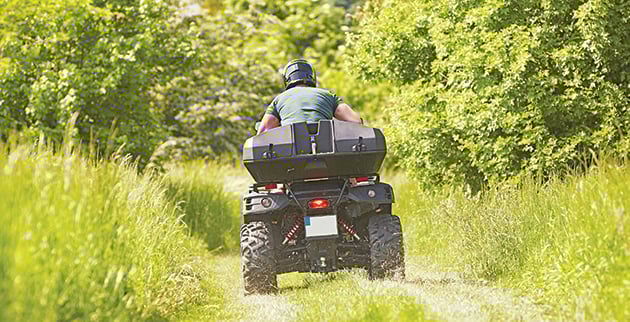 shutterstock_279690014