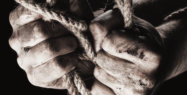 shutterstock_295667006