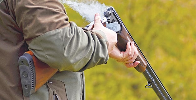 shutterstock_679542289