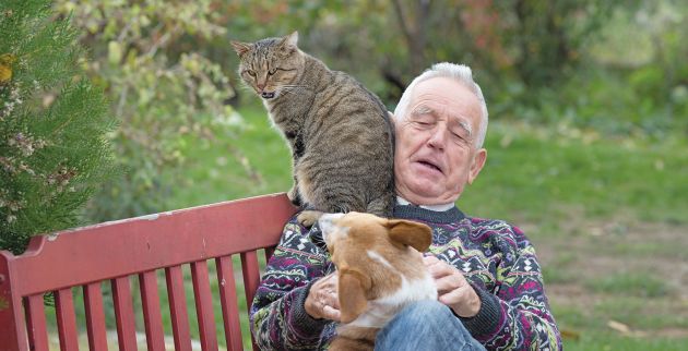 shutterstock_328059524