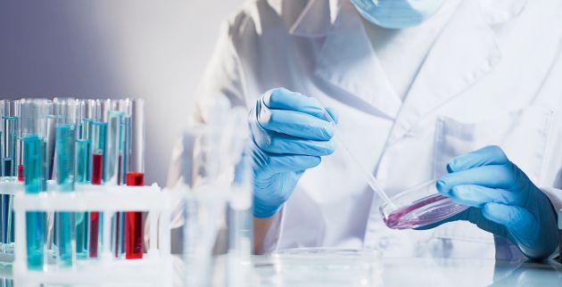 shutterstock_761873461