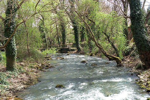 Από πνιγμό «πήγε» η 57χρονη που είχε βρεθεί νεκρή σε ποτάμι