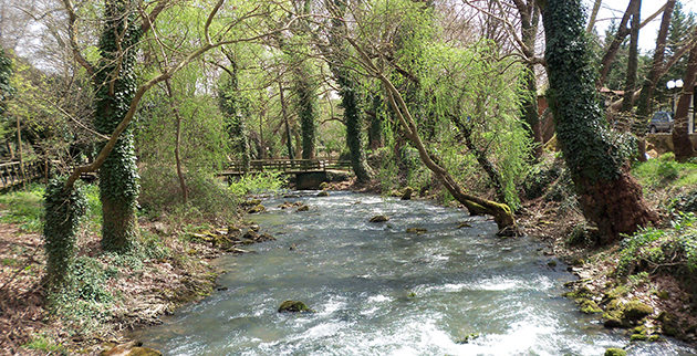 18ca1c5960b52d3fdfef17df94cea9a8