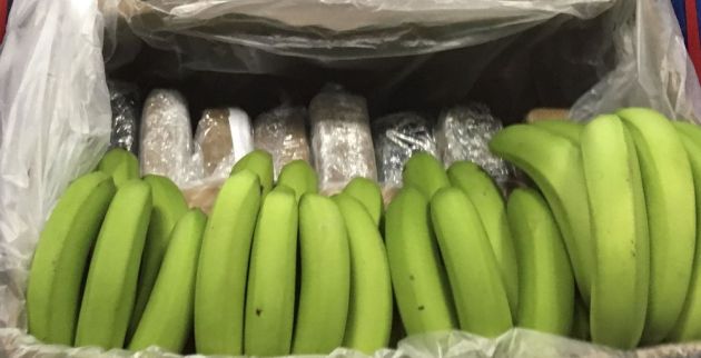 5d456e49825e634a8a1865b2