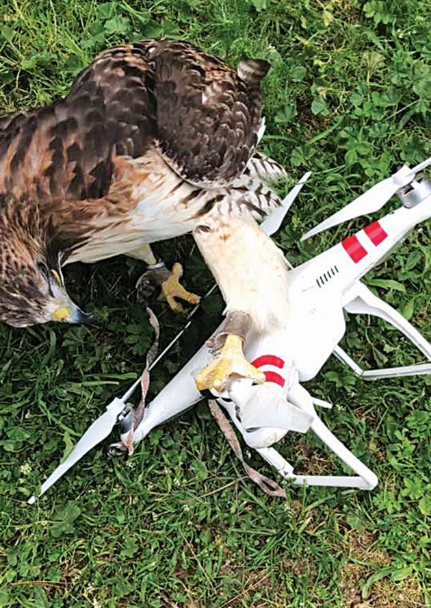 Η Ζήνα έπειτα από κατάρριψη drone