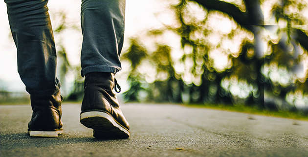 shutterstock_1019027305