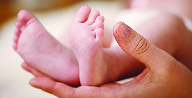 shutterstock_102678248