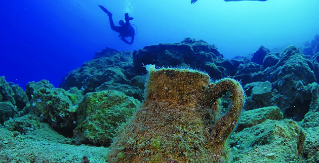 shutterstock_1486786301