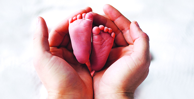 shutterstock_523810459