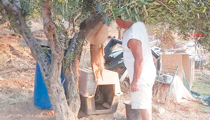 Κτήνος στην Κρήτη κρέμασε με λουρί σκυλίτσα και πέθανε