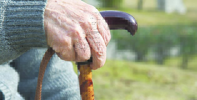 shutterstock_534936301