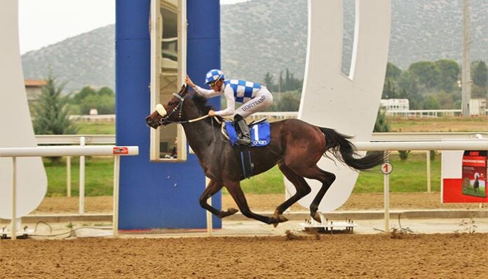 Το Κύπελλο Κένταυρων μονοπώλησε το ενδιαφέρον του κόσμου στο Markopoulo Park