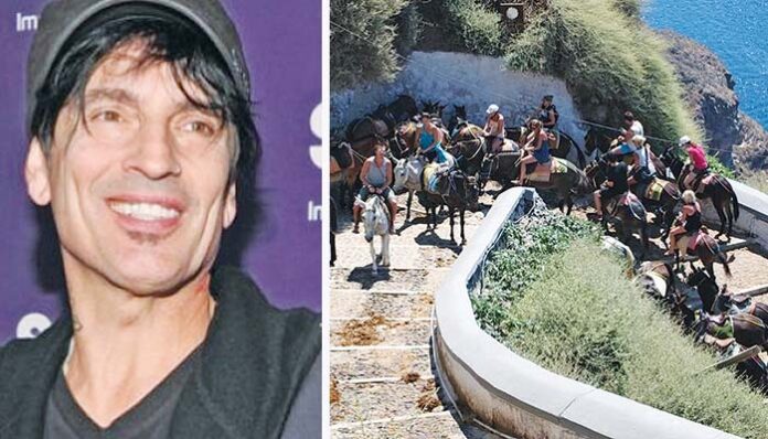 Έξαλλος και ο Τόμι Λι από την κακοποίηση των γαϊδουριών στη Σαντορίνη