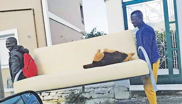 Ζητούν παρέμβαση για το πλιάτσικο σε ξενοδοχείο!