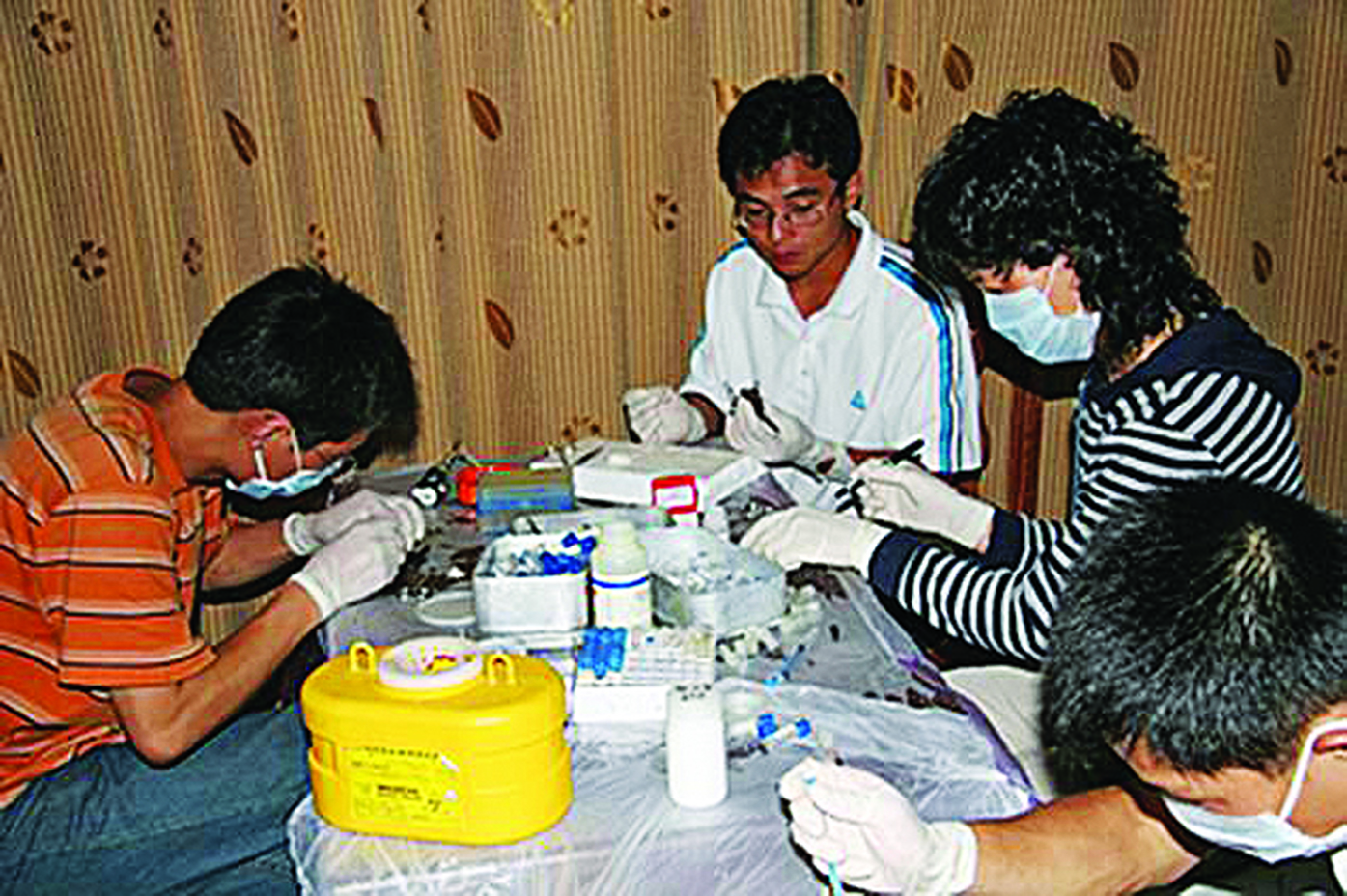 The emerging viruses group handling bats taken from archive photography